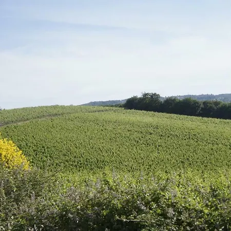 Torre Mediovale Dei Conti